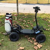 Carrito de Golf Plegable de 4000W a Precio de Fábrica, Mini Carrito de Golf de 1 Plaza, Buggy de Golf 60V 4x4, Carrito de Golf Eléctrico Utilitario de 1 Plaza