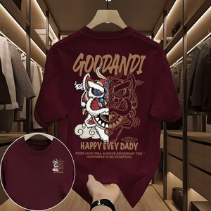 Camiseta de manga corta de algodón puro transfronterizo de marca de moda de verano 2025 para hombre, nueva camiseta informal de cuello suelto Ins, diseño atractivo - Product Image 4