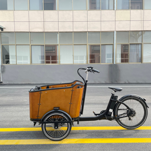 250W néerlandais cargo vélo <span class=keywords><strong>bakfiets</strong></span> remorque vélo électrique vélo cargo tricycle trois roues chargement frontal boîte vélo de Chine - Product Image 1