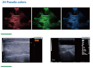 Draagbare Waterdichte Veterinaire Monitoring Apparaat Ultrasone Scanner Voor Boerderij Varken Paardenschapen Zwangerschap - Product Image 6