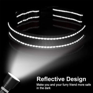 Yumuşak neopren yastıklı kişiselleştirilmiş özel ayarlanabilir yansıtıcı naylon köpek tasması - Product Image 6