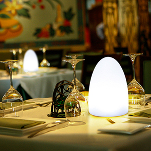 Minimalist RGB Color-<strong>changing</strong> LED Egg-shaped Dining <strong>Table</strong> Lamp Suitable for Home Restaurants and Hotel Atmospheres - Product Image 1