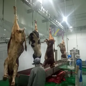 High Efficiency 50 Cattle Slaughter Machine Meat Processing Equipment For Cow Slaughtering Line