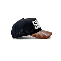 Gorra de Béisbol de Satén con Logotipo Personalizado, MOQ Bajo, Alta Calidad, 5 Paneles Estructurados, para Todas las Temporadas, Gorra Deportiva para Unisex