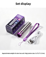 Detector de Manchas Portátil con Luz UV de 365nm, Recargable por USB, con Filtro M5-10W, Clasificación IP55, Esencial para Viajes, Inspección de Higiene en Hoteles
