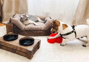 Wooden Cat Dog <strong>Bed</strong> Elevated <strong>Pet</strong> <strong>Bed</strong> Furniture Wood Dog <strong>Bed</strong> Frame - Product Image 4