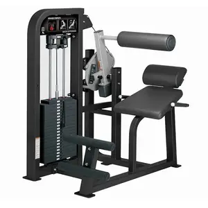 Hot Sale Commercial Strength Weight Stack Adjustable Gym Fitness Equipment Machine Back Extension