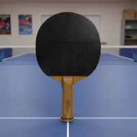 Offres Spéciales de raquette de tennis de table Ensemble de raquette de tennis de table professionnel Pagaie économique pour joueurs jeu intérieur et extérieur