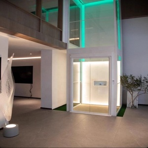 Ascensor Residencial Pequeño para Interiores y Exteriores de 2-4 Pisos, con Accionamiento por Corriente Alterna sin Engranajes, Puerta Automática, Personalizado para Viviendas, con Certificación CE - Product Image 2