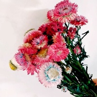 Fleurs romantiques avec chrysanthème, accessoires pour la maison, vente en gros, paille séchée