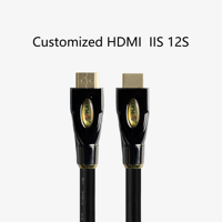 Câble AVplay HD-300 en argent pur à 99,99 %, 4K 8K, haut de gamme, HiFi, audiophile, I2S IIS, câble numérique, lecteur audio, connexion DAC