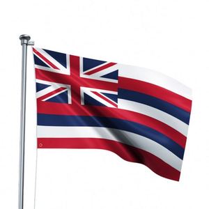 Drapeau Hawaï portable 3x5 pieds en polyester durable, résistant à la décoloration, imprimé numériquement, écologique, anti-plis, avec œillets en laiton - Product Image 2