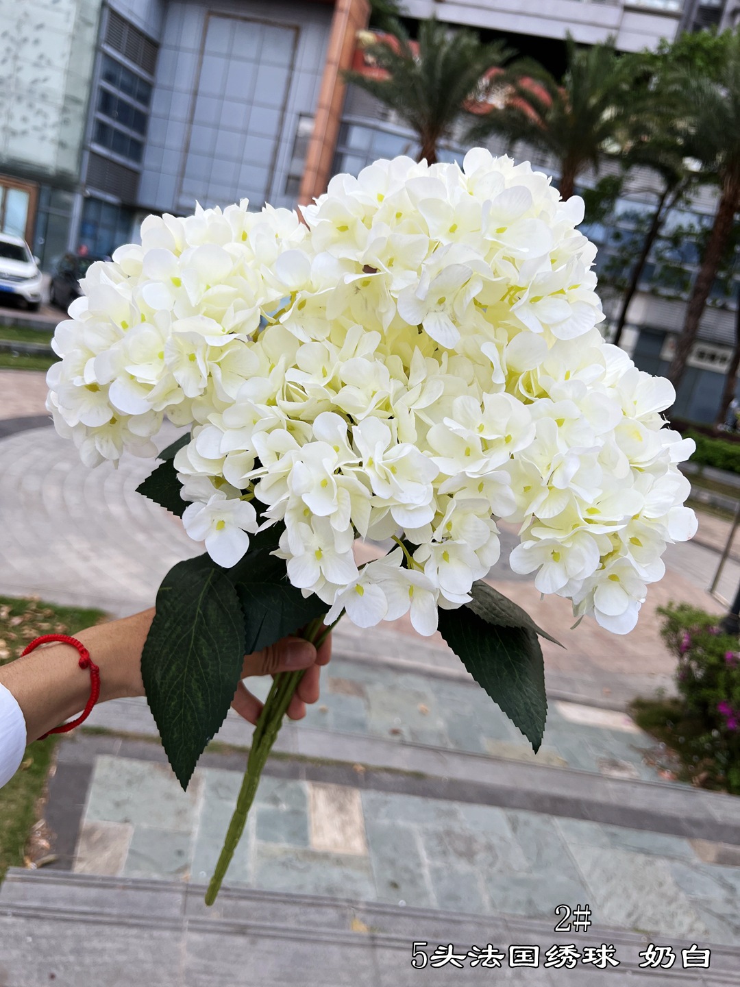 2#5 head french hydrangea milk white