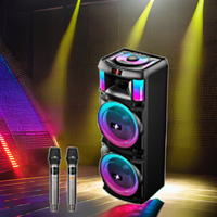 Double système DJ PA 12 pouces son 1000W audio portable tweeter de fête avec microphone, adapté à la fonction karaoké à domicile