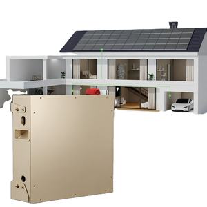 Module de batterie Lifepo4 Dyness 51,2 V 100 Ah 5 kWh certifié Inmetro, montage mural, 6000 cycles, BMS intelligent, batterie de stockage domestique - Product Image 1