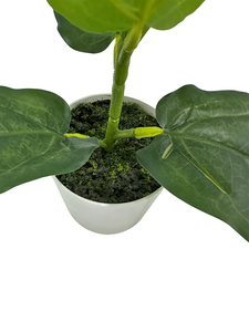 Vente directe d'usine TREESMAS LY237 Arbre artificiel en plastique Ficus lyrata 35x30cm pour la décoration intérieure et extérieure des magasins et du commerce de détail - Product Image 3