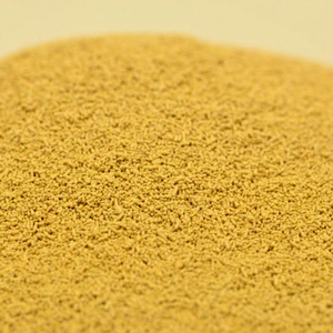 Poudre de protéines de levure isolées 100 % pures de haute qualité en vrac Fittree International pour les fabricants de produits nutritionnels axés sur les protéines - Product Image 1