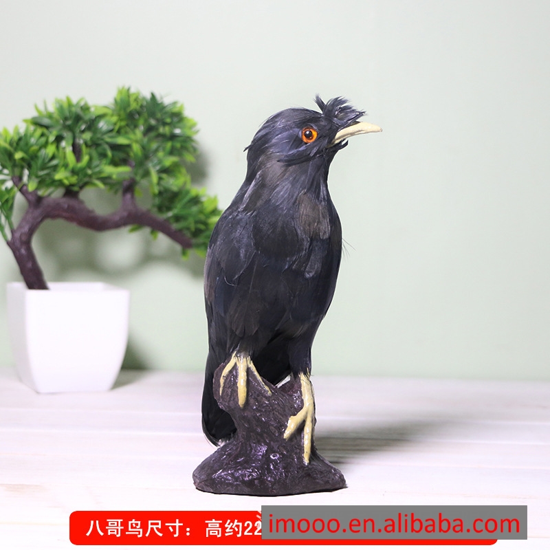 Myna