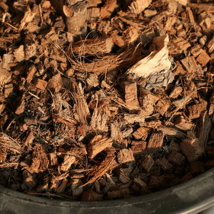 Copeaux de noix de coco pour une utilisation professionnelle en horticulture avec un excellent drainage et une excellente durabilité - Product Image 1