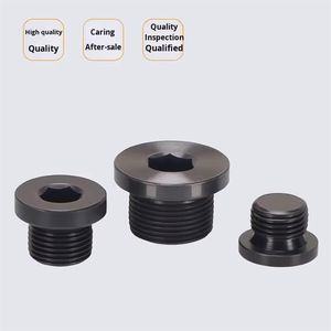 हाइड्रोलिक सिस्टम हेक्स सॉकेट फ्लैंज प्लग कार्बन स्टील मीट्रिक फाइन थ्रेड तेल प्लग - Product Image 4