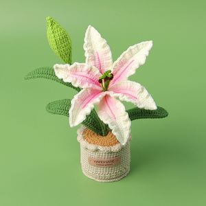 Maceta Decorativa Hecha a Mano con Flores de Zephyranthes Candida Tejidas a Crochet para Regalo de Halloween, Navidad o San Valentín - Product Image 3
