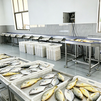 YOUBAN Automatische Weeg- en Sorteermachine voor Fruit, Groenten, Zeevruchten, Vis, Kersen, Bosbessen, Oesters en Garnalen