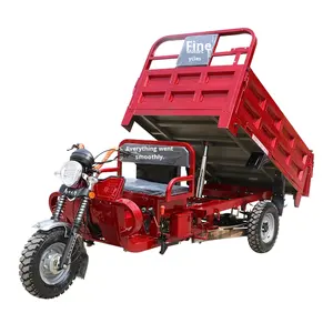 Véhicule domestique à trois roues à assistance électrique sous licence Moteur de déchargement de carburant à essence refroidi à l'eau Tricycles motorisés plats - Product Image 1