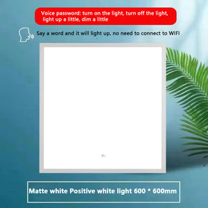 Durlitecn Bewegingssensor Plafond Trap Gang Balkon Ip44 Waterdicht 3 Kleurtemperaturen Ultra-Dunne Led Paneellamp - Product Image 3