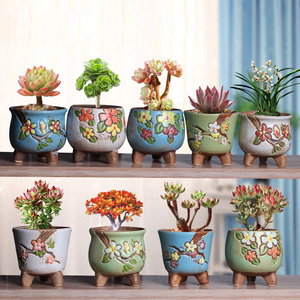 Creativo carino dipinto succulento vaso <span class=keywords><strong>di</strong></span> ceramica decorazione per la casa vaso <span class=keywords><strong>di</strong></span> <span class=keywords><strong>fiori</strong></span> per le piante - Product Image 2