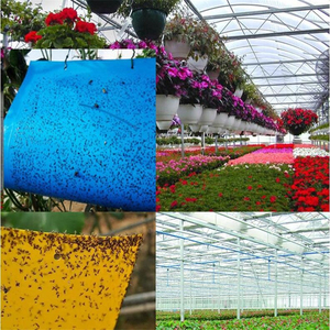 Trampa Adhesiva para Insectos de Doble Cara, Fuerte y No Tóxica, Color Amarillo, para Invernaderos, Huertos, Granjas, Jardines, Interiores y Exteriores - Product Image 6
