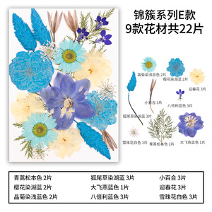 22-25 pièces/paquet, fleurs séchées pressées de la série JC, combinaison pour cadre photo en résine, <span class=keywords><strong>plante</strong></span> naturelle, Saint-Valentin, Pâques - Product Image 6