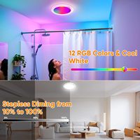 Plafonnier à détecteur de mouvement rechargeable en ABS, design moderne, télécommande, 12 couleurs RGB CW, éclairage pour placard, salle de bain, douche