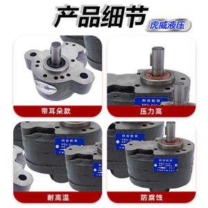 Pompes à huile en fonte à simple étage très vendues CB-B4/CB-B10/CB-B6F/CB-B10R, pompes électriques de surpression et à engrenages, état neuf - Product Image 3