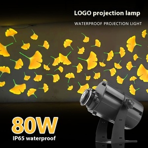 Ngoài trời RGB ánh sáng <span class=keywords><strong>laser</strong></span> không thấm nước Led năng động mô hình cá chiếu cho cửa đầu công viên Chiếu Sáng IP65 mặt đất chiếu - Product Image 2