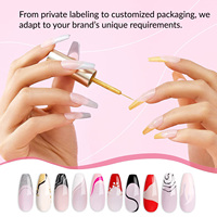 Gel UV de haute pigmentation pour nail art, liner de dessin non toxique, idéal pour tracer des lignes sans casser, fabrication OEM en usine