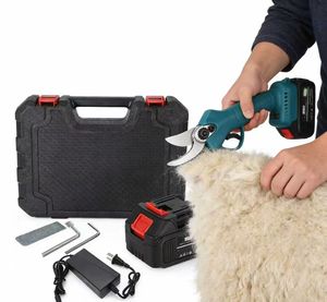 <span class=keywords><strong>Esquiladora</strong></span> Eléctrica Inalámbrica de Alta Potencia para Ovejas con Batería de Litio Azul 12V, Recortadora de Lana de Plástico - Product Image 2