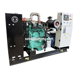 Grupo electrógeno de gas natural/Bogas de 30kw a 4000kw con generador de importación de motor nuevo - Product Image 2