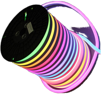 Bande lumineuse LED intelligente étanche IP67 avec télécommande, 24V SPI, couleurs magiques RGBIC, tube flexible néon, CRI 90 élevé, dimmable, pour extérieur