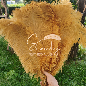 Plumes d'autruche multicolores bon marché sélectionnées de 50-55 cm pour les mariages, les fêtes, les événements, les centres de table, les costumes de <span class=keywords><strong>carnaval</strong></span>, les décorations - Product Image 5