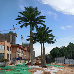 <span class=keywords><strong>De</strong></span> plástico <span class=keywords><strong>de</strong></span> Royal Palm árbol <span class=keywords><strong>comprar</strong></span> Anti-ultravioleta Anti-decoloración <span class=keywords><strong>de</strong></span> fibra <span class=keywords><strong>de</strong></span> vidrio <span class=keywords><strong>de</strong></span> China los árboles artificiales - Product Image 3