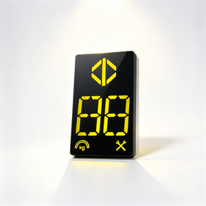 Etiqueta Adhesiva Personalizada para Ventana de Pantalla de Báscula Digital, con Ícono de Calibración y Mantenimiento en Kg, Impresa en PVC/PET - Product Image 2
