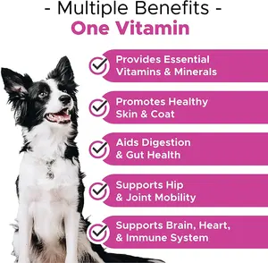 도매 개인 맞춤 개 부드러운 씹는 태블릿 애완 동물 식품 영양 종합 비타민 개 비타민 및 보충 - Product Image 2