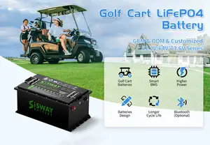 Batterie lifepo4 48v 200/150/105ah d'usine OEM pour voiture électrique voiturette de golf chariot buggy batteries au lithium ion batterie