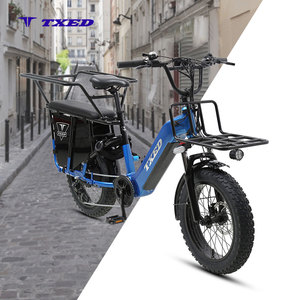 Vélo électrique cargo à suspension TXED de 20 pouces, moteur de moyeu arrière 48/750W, batterie au lithium haute capacité 48V/20AH, vélo électrique cargo à 7 vitesses - Product Image 1