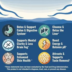 OEM/ODMクルクミン + ビタミンCサプリメントカプセル栄養補助食品栄養吸収を促進し、腸の健康をサポート - Product Image 5