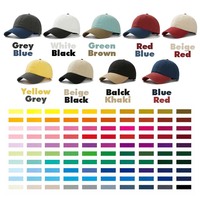 Gorra de Béisbol Bordada en Algodón con Logotipo Personalizado, Dos Tonos, Visera Curva Ajustable, Corona Redonda, Venta al Por Mayor OEM ODM para Hombres y Mujeres