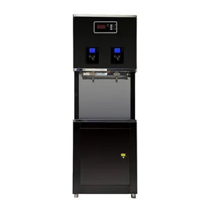 आईसी कार्ड नियंत्रण पेय पानी निकालने की मशीन के लिए स्कूल 220V पानी फिल्टर शोधक