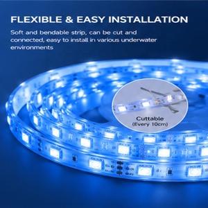 Lumière LED pour piscine, DC24V 10W RGB IP68, étanche sous l'eau, pour villa, aquarium, bac à poissons, bande lumineuse LED - Product Image 3