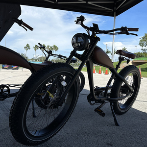 Pin Lithium Điện Xe Đạp Bụi Bẩn 750W bafang Động Cơ Đĩa Phanh Cổ Điển Ebike 26Inch Chất Béo Lốp Retro Điện Bik - Product Image 4