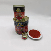 Sauce tomate en vrac pour pizza et spaghetti, de haute qualité et délicieuse, prix de gros direct usine, en promotion